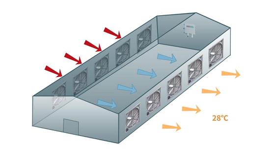 養(yǎng)殖場(chǎng)通風(fēng)示意圖