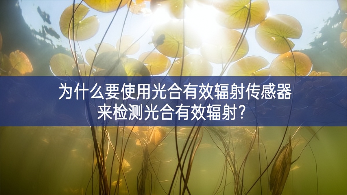 為什么要使用光合有效輻射傳感器來(lái)檢測(cè)光合有效輻射？